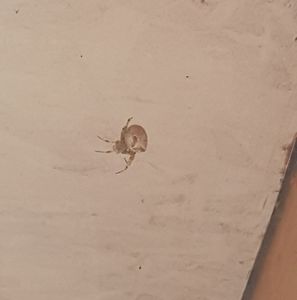 Meet your Posher, Adrienne